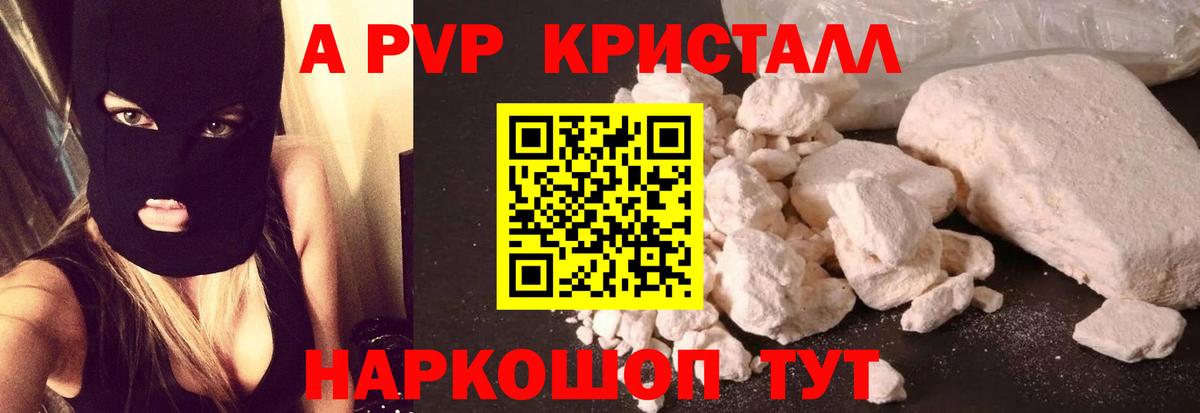 A PVP СК Шатура