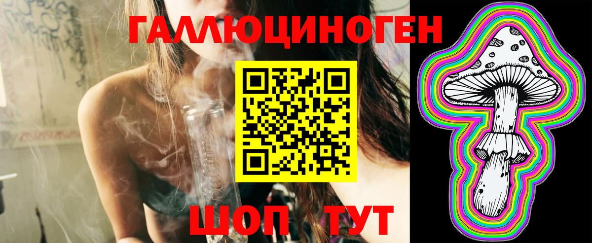 Псилоцибиновые грибы Psilocybe Шатура